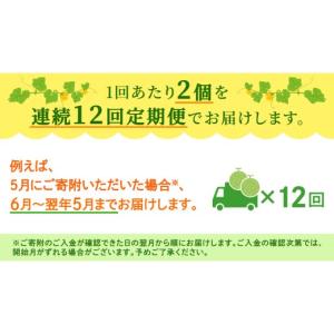 ふるさと納税 メロン メロン赤肉 茨城県 つく...の詳細画像5