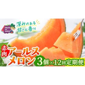 ふるさと納税 メロン メロン赤肉 茨城県 つく...の詳細画像1