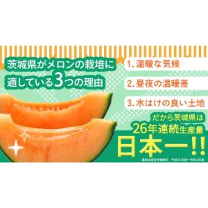 ふるさと納税 メロン メロン赤肉 茨城県 つく...の詳細画像3