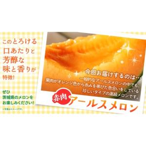 ふるさと納税 メロン メロン赤肉 茨城県 つく...の詳細画像4