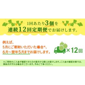 ふるさと納税 メロン メロン赤肉 茨城県 つく...の詳細画像5