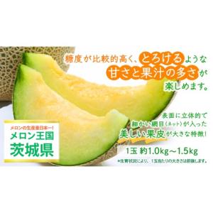 ふるさと納税 メロン メロン青肉 茨城県 つく...の詳細画像2
