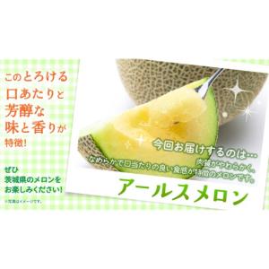 ふるさと納税 メロン メロン青肉 茨城県 つく...の詳細画像4