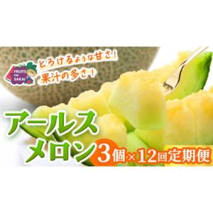 ふるさと納税 メロン メロン青肉 茨城県 つく...の詳細画像1