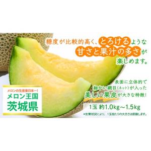 ふるさと納税 メロン メロン青肉 茨城県 つく...の詳細画像2