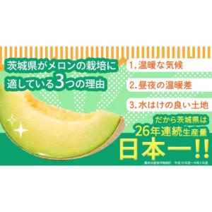 ふるさと納税 メロン メロン青肉 茨城県 つく...の詳細画像3
