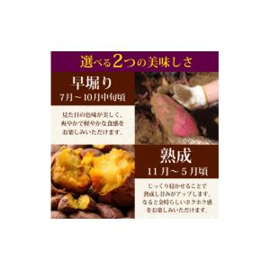 ふるさと納税 野菜類 サツマイモ 徳島県 - ...の詳細画像5