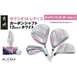 ふるさと納税 ゴルフグッズ クラブ 宮崎県 都城...の商品画像