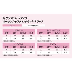 ふるさと納税 ゴルフグッズ クラブ 宮崎県 都...の詳細画像3