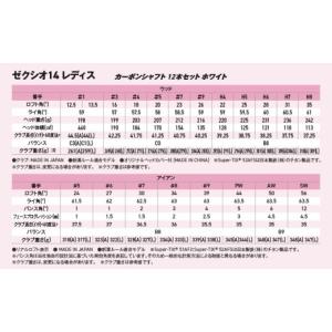 ふるさと納税 ゴルフグッズ クラブ 宮崎県 都...の詳細画像4