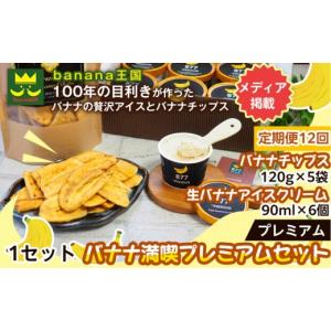 ふるさと納税 菓子 アイス 愛知県 名古屋市 定期便12ヶ月 満喫プレミアムセット プレミアム生バナナアイスクリーム（90ml×6個）・プレミアムバナナチップス …