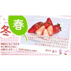 ふるさと納税 果物の詰合せ 茨城県 つくばみら...の詳細画像3