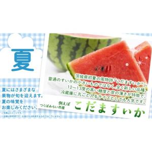 ふるさと納税 果物の詰合せ 茨城県 つくばみら...の詳細画像4