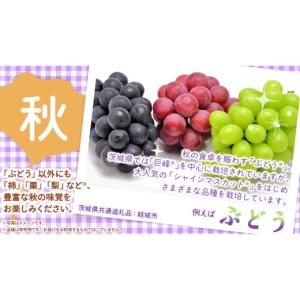 ふるさと納税 果物の詰合せ 茨城県 つくばみら...の詳細画像5