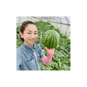 ふるさと納税 スイカ 沖縄県 今帰仁村 今帰仁...の詳細画像4