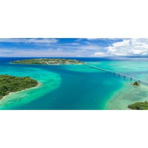 ふるさと納税 スイカ 沖縄県 今帰仁村 今帰仁...の詳細画像5