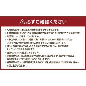 ふるさと納税 果物の詰合せ 熊本県 熊本市 6...の詳細画像3