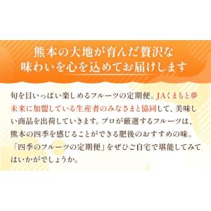 ふるさと納税 果物の詰合せ 熊本県 熊本市 6...の詳細画像5