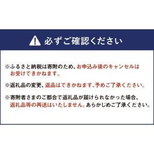 ふるさと納税 自転車 熊本県 熊本市 size...の詳細画像4