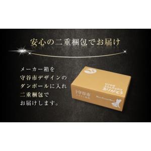 ふるさと納税 ビール 茨城県 守谷市 12ヶ月...の詳細画像4