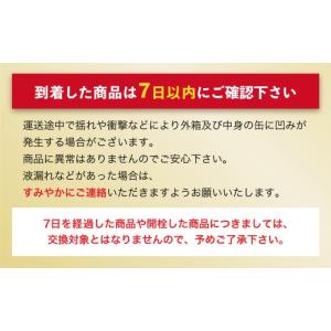 ふるさと納税 ビール 茨城県 守谷市 12ヶ月...の詳細画像3