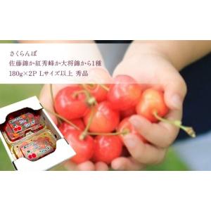 ふるさと納税 果物の詰合せ 山形県 - 定期便...の詳細画像3