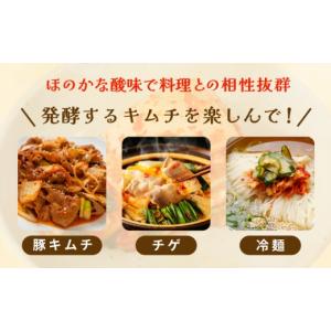 ふるさと納税 加工品等 大阪府 泉佐野市 定期...の詳細画像5