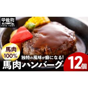 ふるさと納税 肉 ハンバーグ 熊本県 甲佐町 令和8年9月配送 馬肉100％ 馬肉ハンバーグ 150g×12個 価格改定 令和8年9月配送