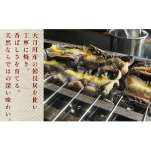 ふるさと納税 うなぎ 高知県 大月町 希少 天...の詳細画像2