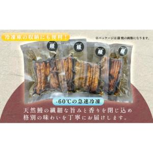 ふるさと納税 うなぎ 高知県 大月町 希少 天...の詳細画像4