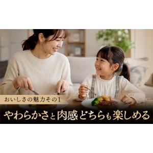 ふるさと納税 肉 ハンバーグ 滋賀県 近江八幡...の詳細画像3