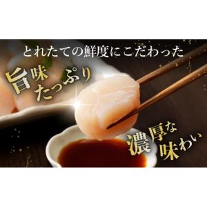 ふるさと納税 魚貝類 ホタテ 北海道 網走市 ...の詳細画像2