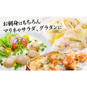 ふるさと納税 魚貝類 ホタテ 北海道 網走市 ...の詳細画像4