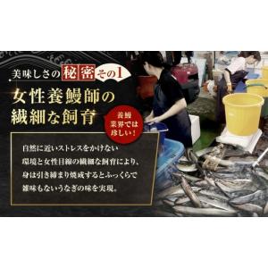 ふるさと納税 うなぎ 大阪府 熊取町 めぐみう...の詳細画像2