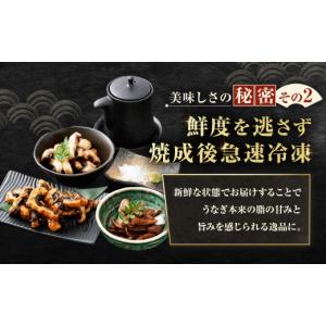 ふるさと納税 うなぎ 大阪府 熊取町 めぐみう...の詳細画像4