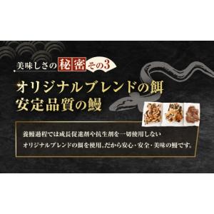 ふるさと納税 うなぎ 大阪府 熊取町 めぐみう...の詳細画像5