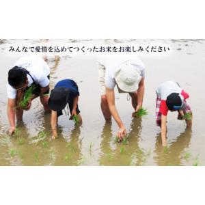 ふるさと納税 米 ミルキークイーン 茨城県 下...の詳細画像4