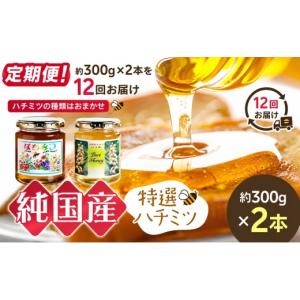 ふるさと納税 加工品等 はちみつ 長野県 木島平村 定期便 芳川養蜂場特選ハチミツ 約300g × 2本 × 12回 | ハチミツ はちみつ 蜂蜜 国産 定期便 長野県 信州…