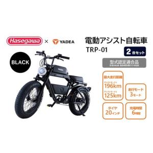 ふるさと納税 自転車 電動アシスト自転車 兵庫県 西脇市 電動アシスト自転車 ２台セット TRP-01 ブラック ハセガワモビリティ×YADEA （1700-1） BLACK