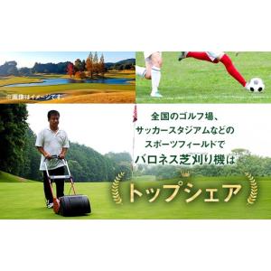 ふるさと納税 電化製品 愛知県 豊川市 バロネ...の詳細画像2