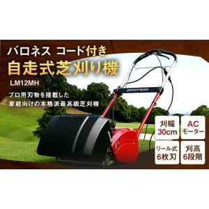 ふるさと納税 電化製品 愛知県 豊川市 バロネ...の詳細画像1