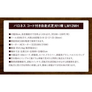 ふるさと納税 電化製品 愛知県 豊川市 バロネ...の詳細画像4