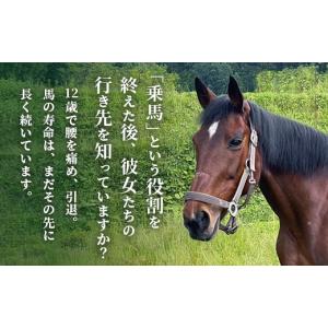 ふるさと納税 感謝状等 京都府 綾部市 引退馬...の詳細画像2
