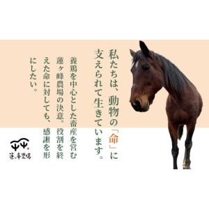 ふるさと納税 感謝状等 京都府 綾部市 引退馬...の詳細画像4