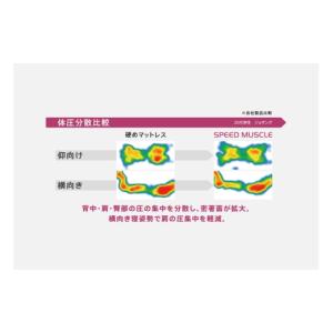 ふるさと納税 タオル・寝具 愛知県 豊川市 S...の詳細画像4