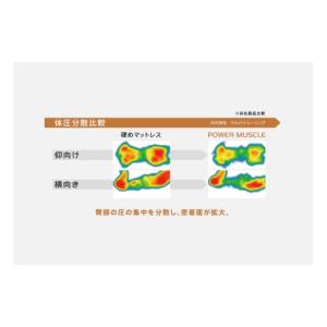 ふるさと納税 タオル・寝具 愛知県 豊川市 S...の詳細画像5