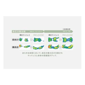 ふるさと納税 タオル・寝具 愛知県 豊川市 S...の詳細画像5