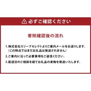 ふるさと納税 タオル・寝具 愛知県 豊川市 S...の詳細画像5