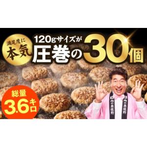 ふるさと納税 肉 ハンバーグ 大阪府 泉佐野市...の詳細画像3