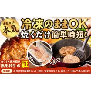 ふるさと納税 肉 ハンバーグ 大阪府 泉佐野市...の詳細画像4